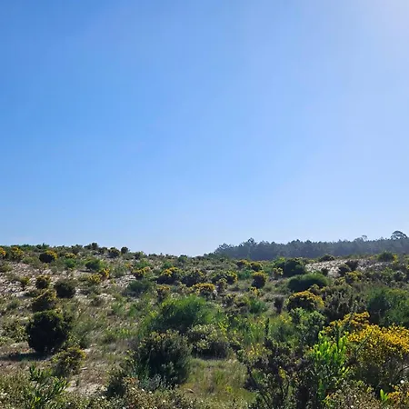Nazare Uninterrupted Views And Sounds Of The Sea Apartment Pataias