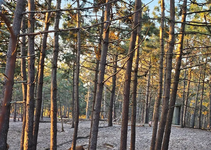 Apartment Nazare Uninterrupted Views And Sounds Of The Sea Pataias