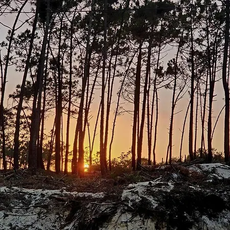 Nazare Uninterrupted Views And Sounds Of The Sea Apartamento *