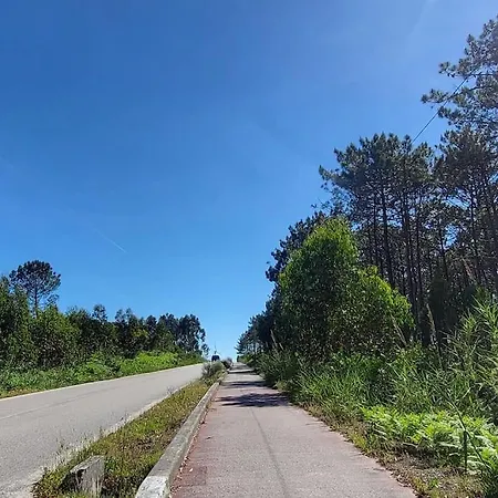 Nazare Uninterrupted Views And Sounds Of The Sea