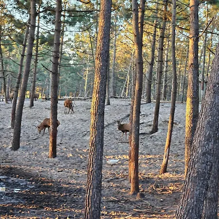 Nazare Uninterrupted Views And Sounds Of The Sea Апартаменты Патаяш