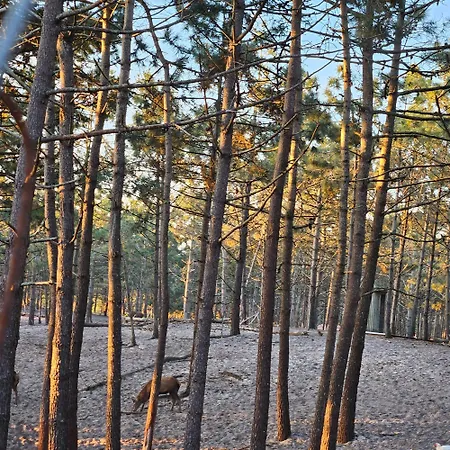 Apartamento Nazare Uninterrupted Views And Sounds Of The Sea Pataias