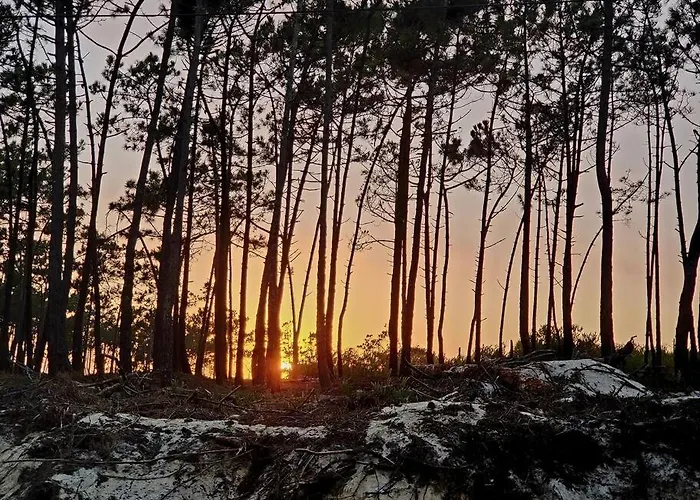 Nazare Uninterrupted Views And Sounds Of The Sea Apartamento *