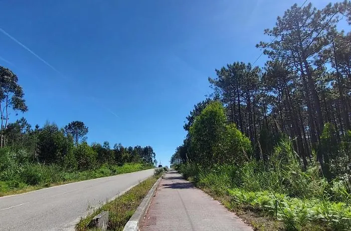 Nazare Uninterrupted Views And Sounds Of The Sea * Pataias