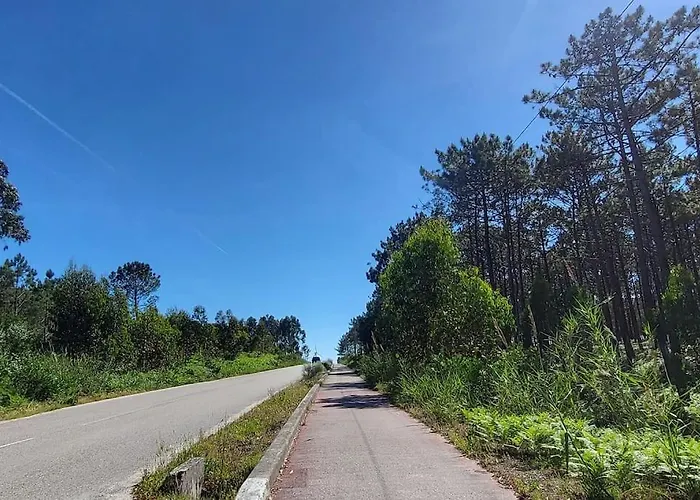 Nazare Uninterrupted Views And Sounds Of The Sea