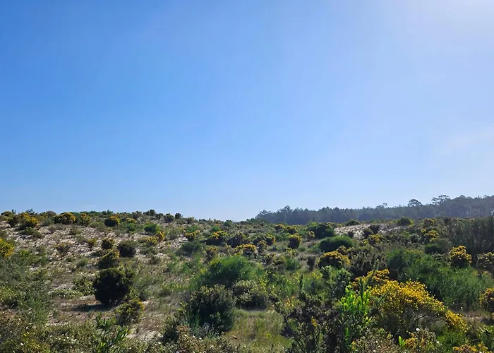 Nazare Uninterrupted Views And Sounds Of The Sea Apartamento Pataias