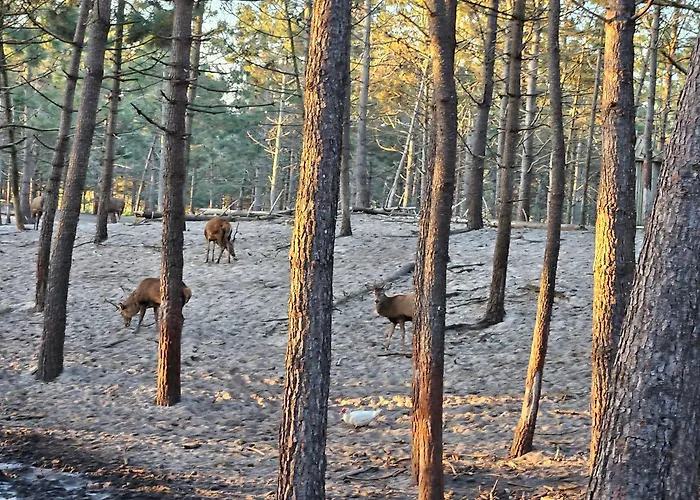 Nazare Uninterrupted Views And Sounds Of The Sea Apartament Pataias